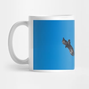 Wedge Tailed Eagle diving Mug